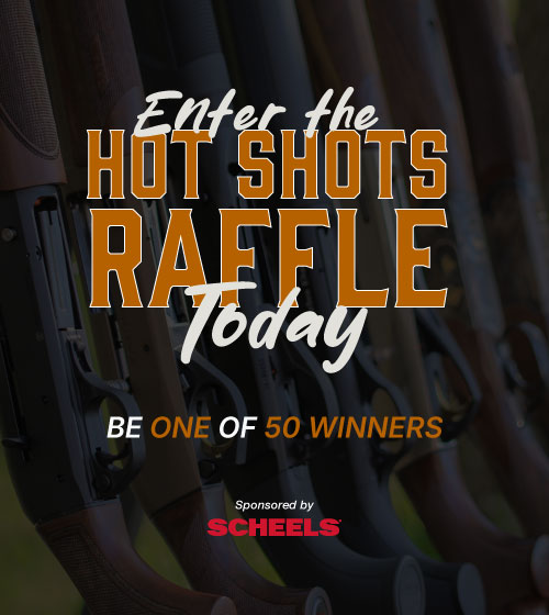 HotShot_500x560.jpg